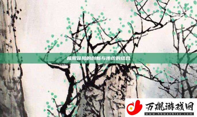 极限冒险的创新与传统的结合