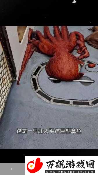 触手惊魂！探索深海奇遇