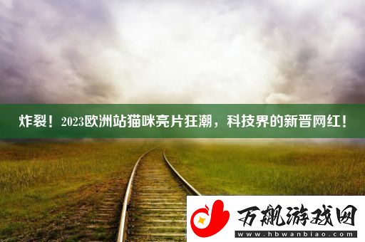 炸裂！2023欧洲站猫咪亮片狂潮科技界的新晋红！