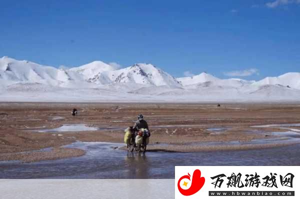 无人区探险