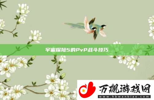 宇宙探险5的PvP战斗技巧