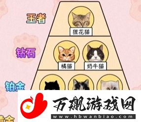 爆梗找茬王哈基米战力怎么通关