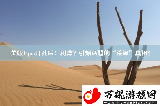 美版14pro开孔后