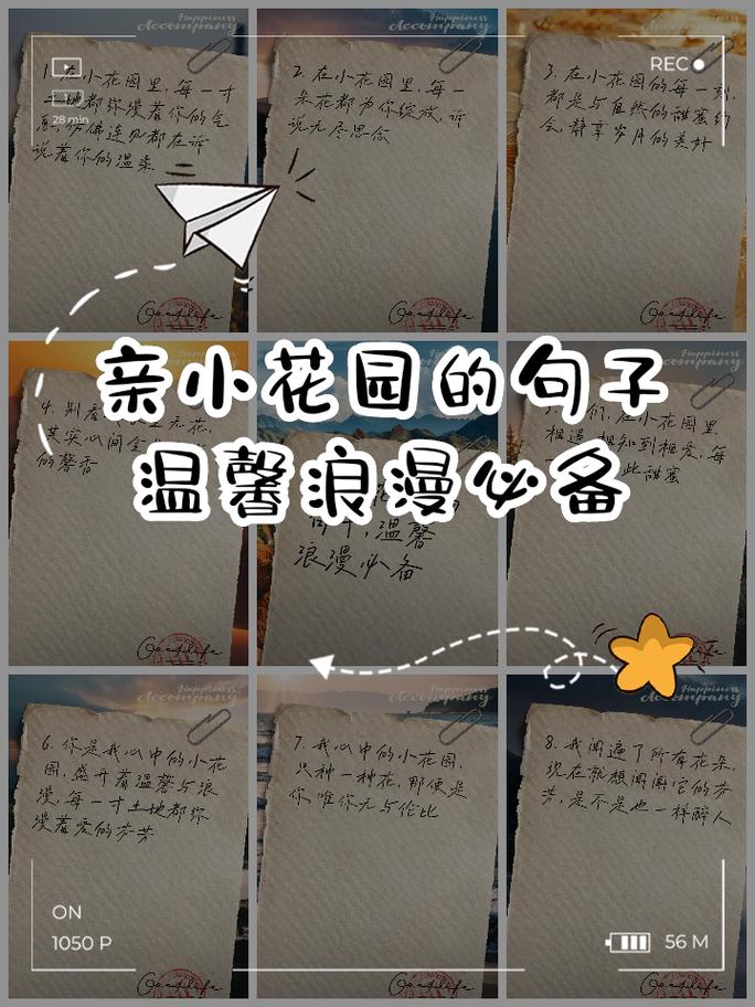 老公亲我的小花园最火的一句