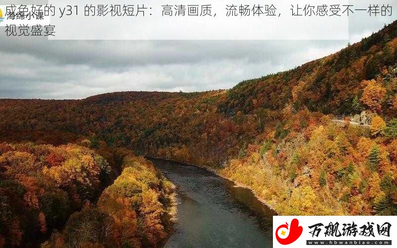 成色好的
