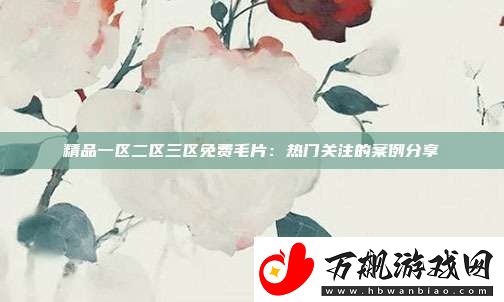 精品一区二区三区免费毛片：热门关注的案例分享