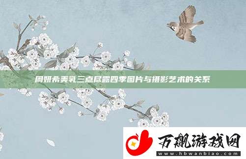 周妍希美乳三点尽露四季图片与摄影艺术的关系