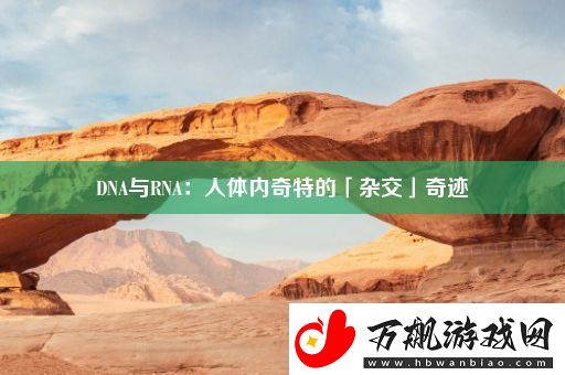 DNA与RNA：人体内奇特的「杂交」奇迹