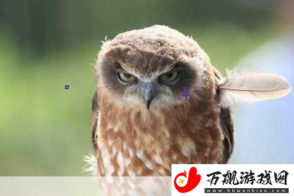 137VT最大但人文艺术-1.-文化与科技的交融：137VT在艺术领域的新探索