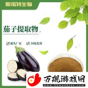 榴莲草莓西瓜茄子黄瓜：五味杂陈的夏日饕餮盛宴