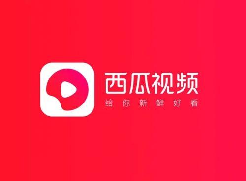 探索“西瓜视频免费”的魅力与使用体验