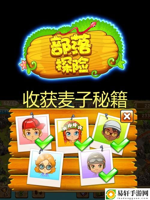 麦子交换3，网友分享：生活的智慧与分享的乐趣