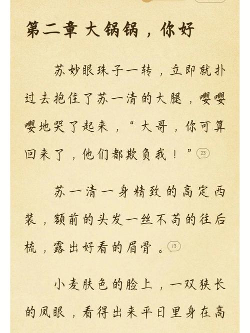 探索苏软软汆肉日常系统的美味世界
