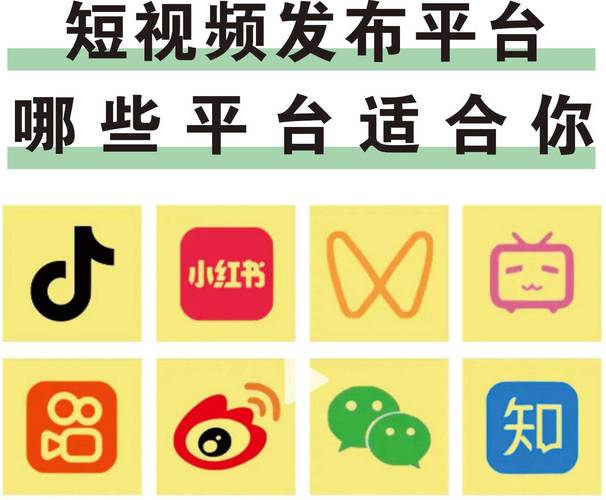 便捷操作与丰富资源的优质精品视频平台，网友：