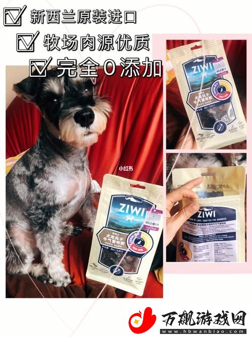 美国人与动物胶配方大全：探索传统与现代技术的结合