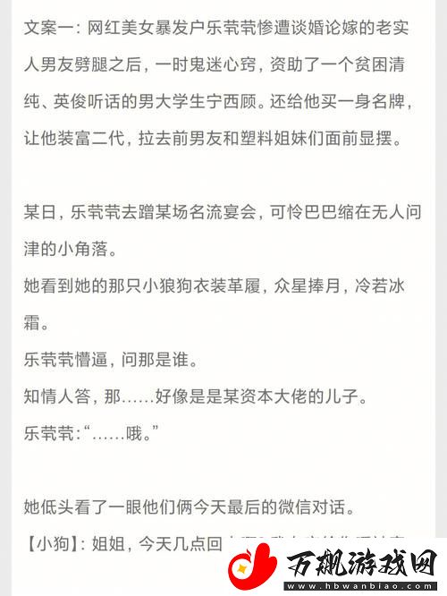 笨蛋小少爷又被炒来炒去：一场意外的冒险