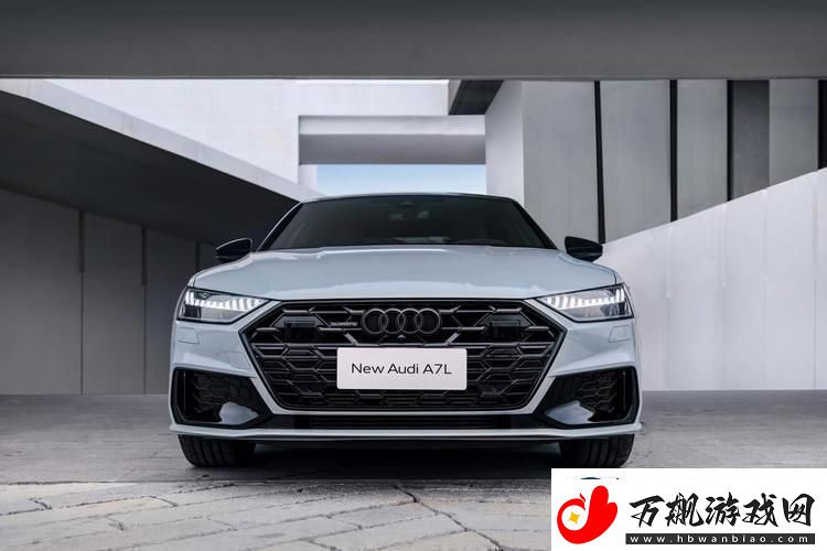 国产奥迪A7L-辣个传说中的极限挑战者！