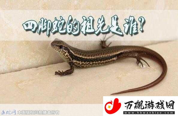 民间说法称清明蔗毒过蛇真正原因是-背后的科学秘密