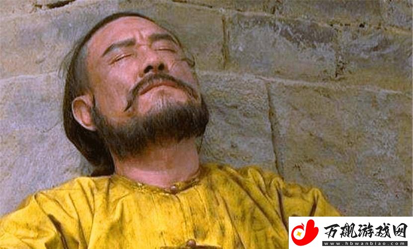 权臣hlH将军皇上：统御天下