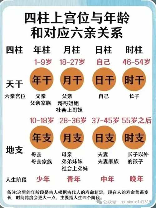 内容丰富8人轮换和9人轮换，提升团队协作效率的有力工具
