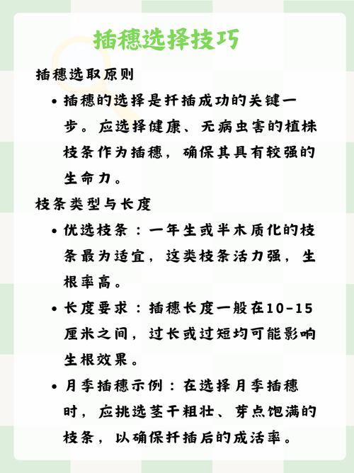 72种扦插方法，探索植物繁殖的艺术