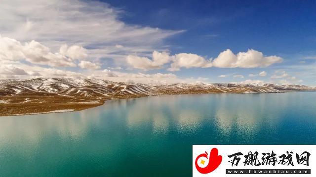 “6229Jm-无人区的神秘代码-全球聚焦的萌新之谜”