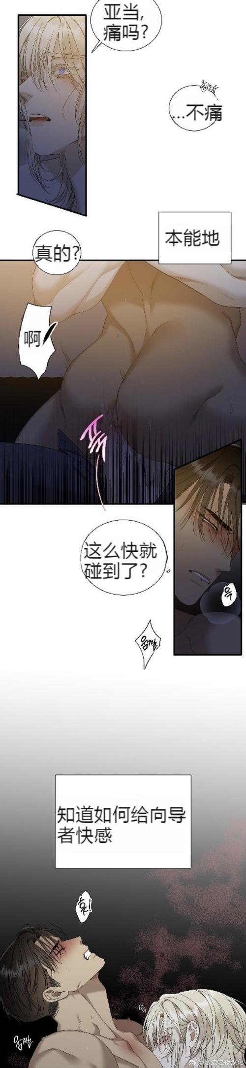 探索“大肉大捧一进一出好爽MBA”的世界