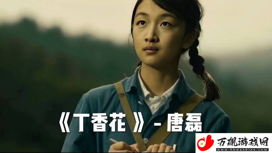 丁香花在线电影电视剧：追梦与爱的交织
