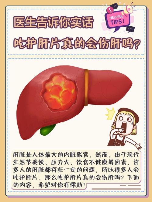 探讨“老公每天吃我小花园会伤肝吗”的健康影响