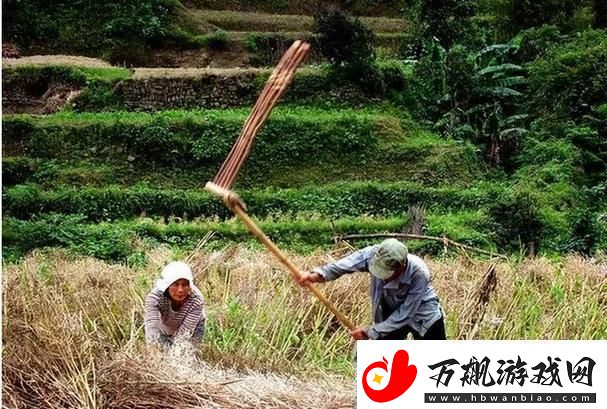 科技江湖怪谈：三猴儿传奇与神秘媳妇
