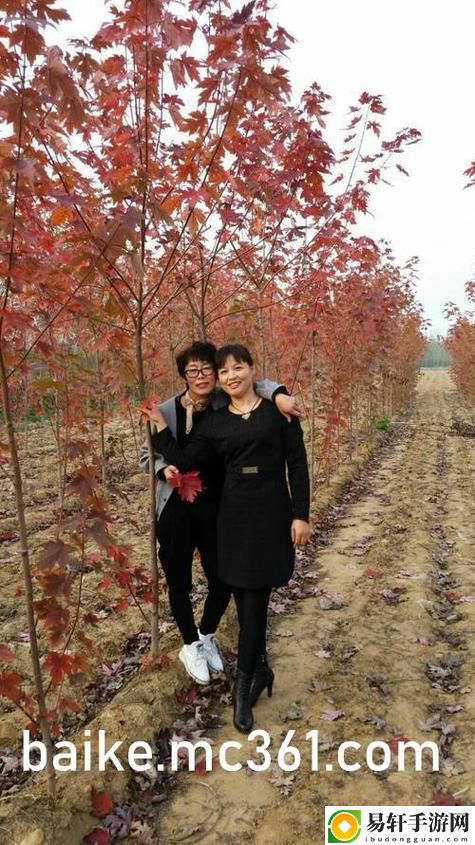无敌神马影视影院在线：畅享视听盛宴，尽情释放你的观影激情