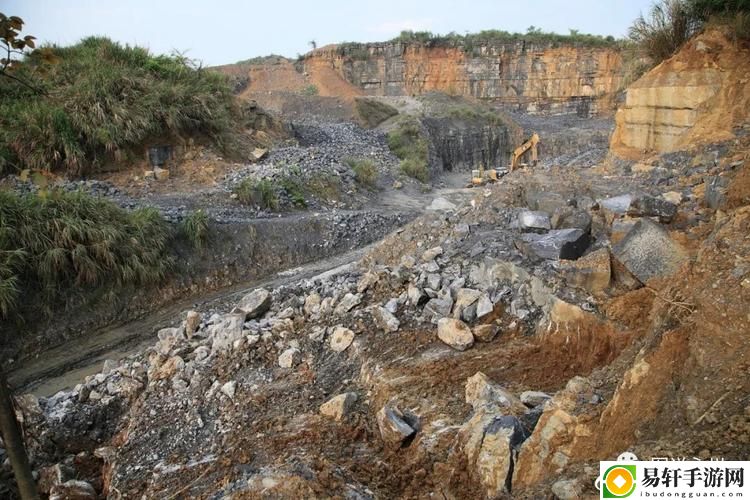 探索大地资源国精产品视频的魅力与价值