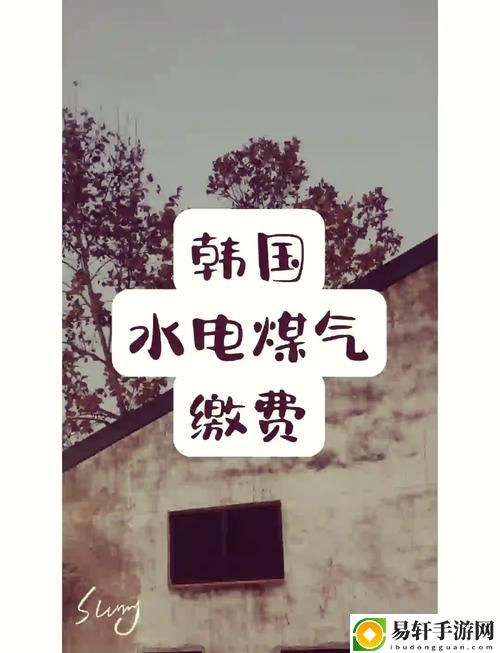 探索好看的韩国三色电费的独特魅力