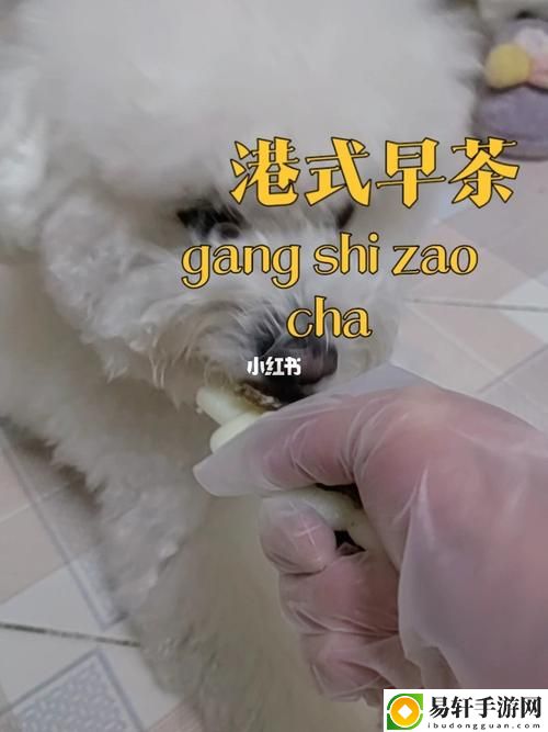 美国人与动物胶配方大全图片，网友评价：