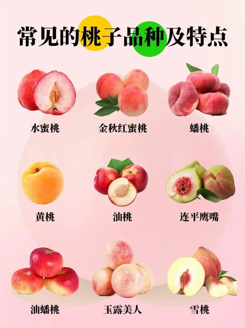 水蜜桃一卡2卡3卡4卡
