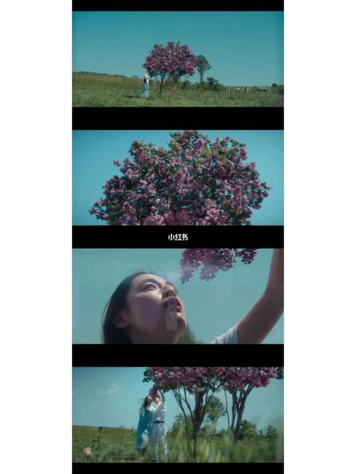 丁香花视频平台免费播放电视剧