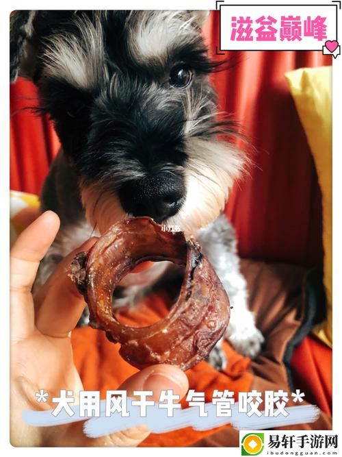 深入探索美国人与动物胶配方大全图片