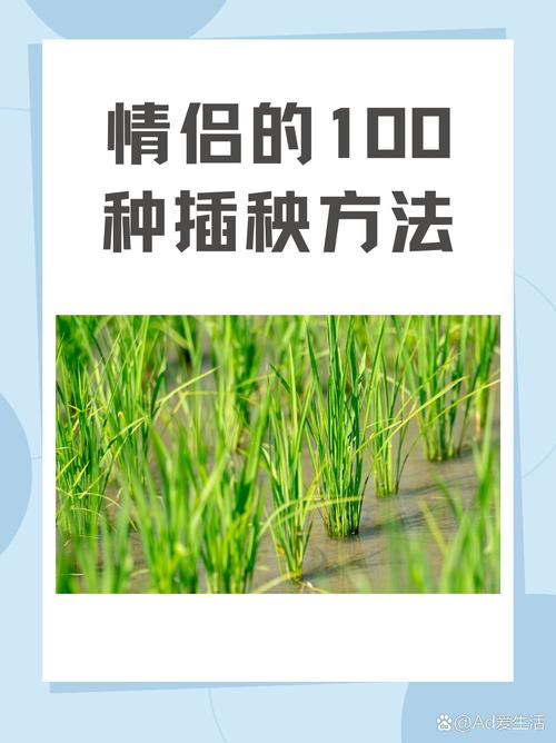 夫妻插秧38种方法图片大全：探索田间的乐趣与技巧