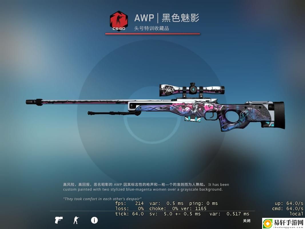 探索日本csgo大姐姐awp的魅力与技巧
