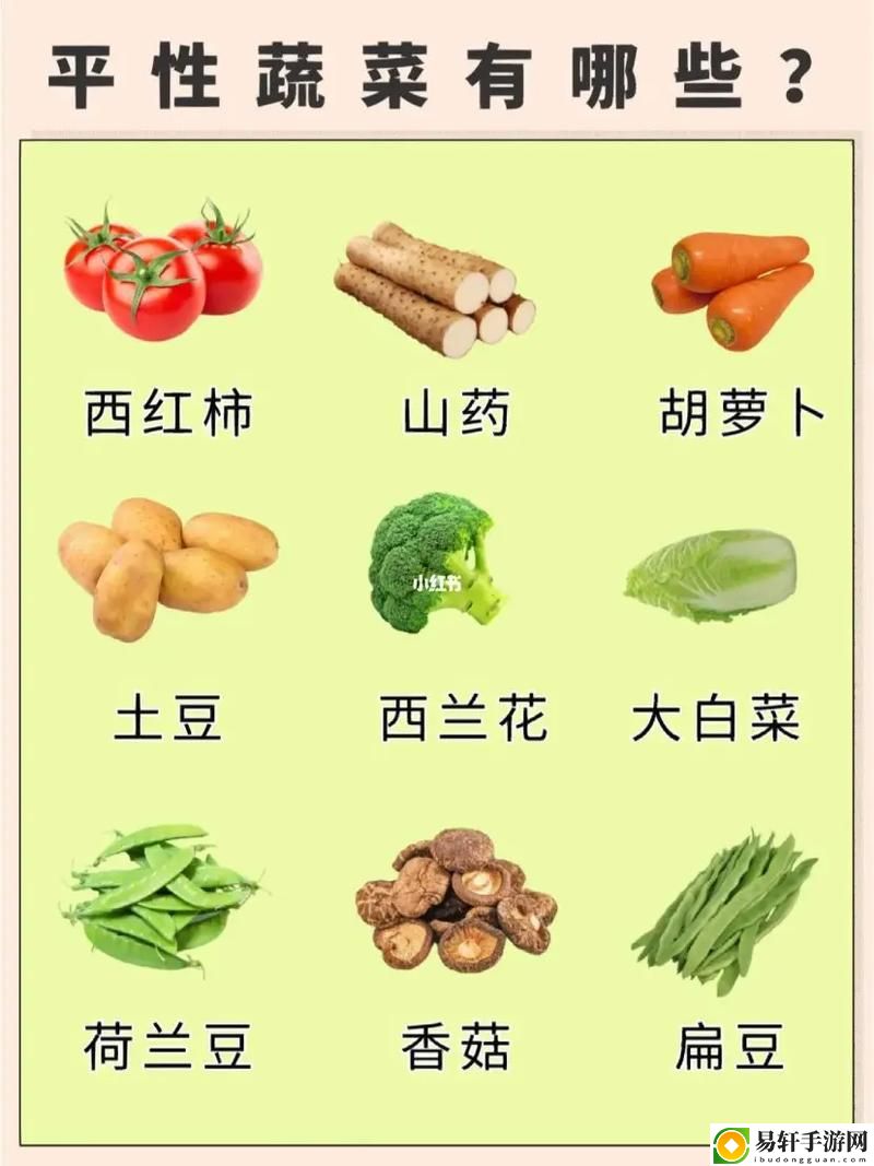 健康生活的种子：向日葵草莓秋葵黄瓜荔枝丝瓜的营养奇迹