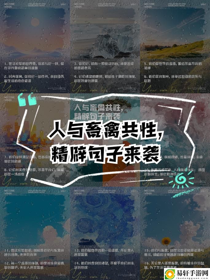助力可持续发展：人与畜禽CROPROATION免费服务开启新篇章