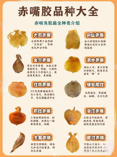 欧美人和禽类胶配方大全：探索美食与健康的完美结合