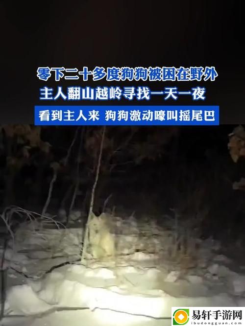 【回忆与生存交织的时光：野外被困的最深的一天】