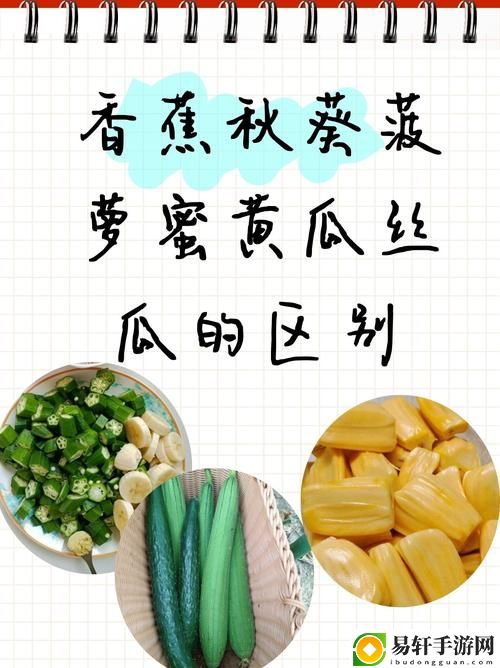 香蕉榴莲丝瓜草莓黄瓜歌词