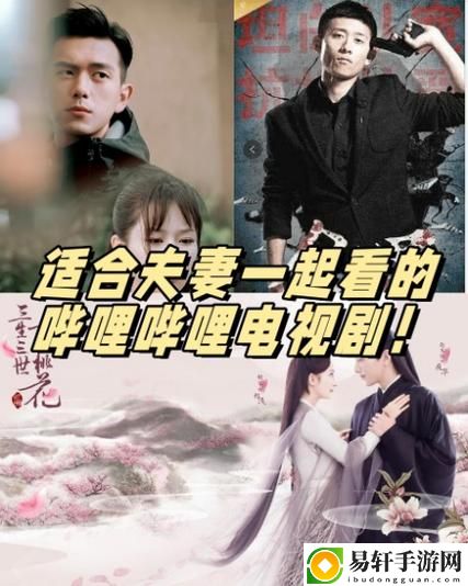 适合夫妻看的哔哩哔哩电视剧推荐：共度美好时光的选择