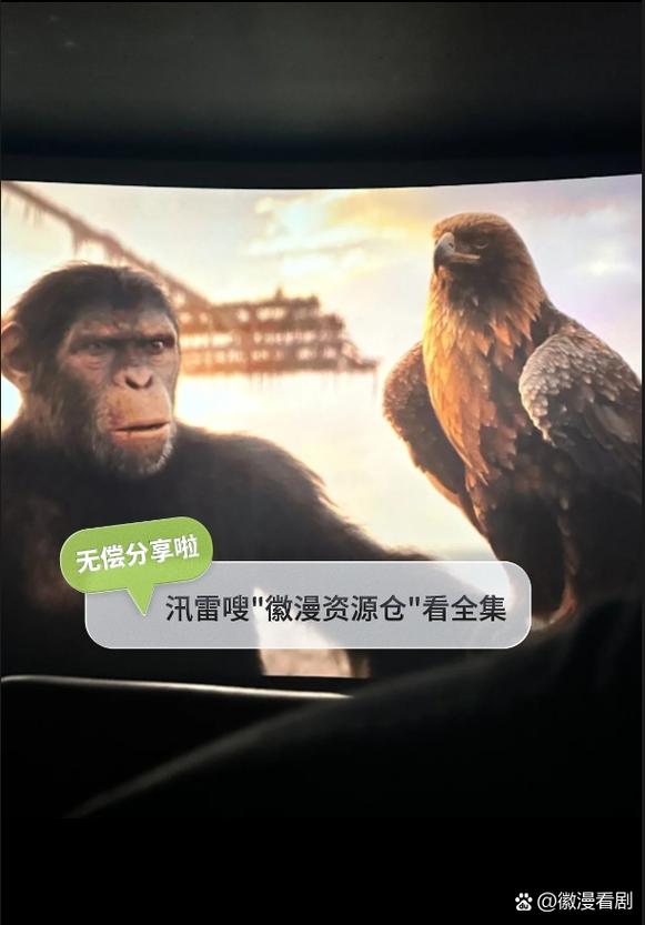 猴哥影院免费看电影
