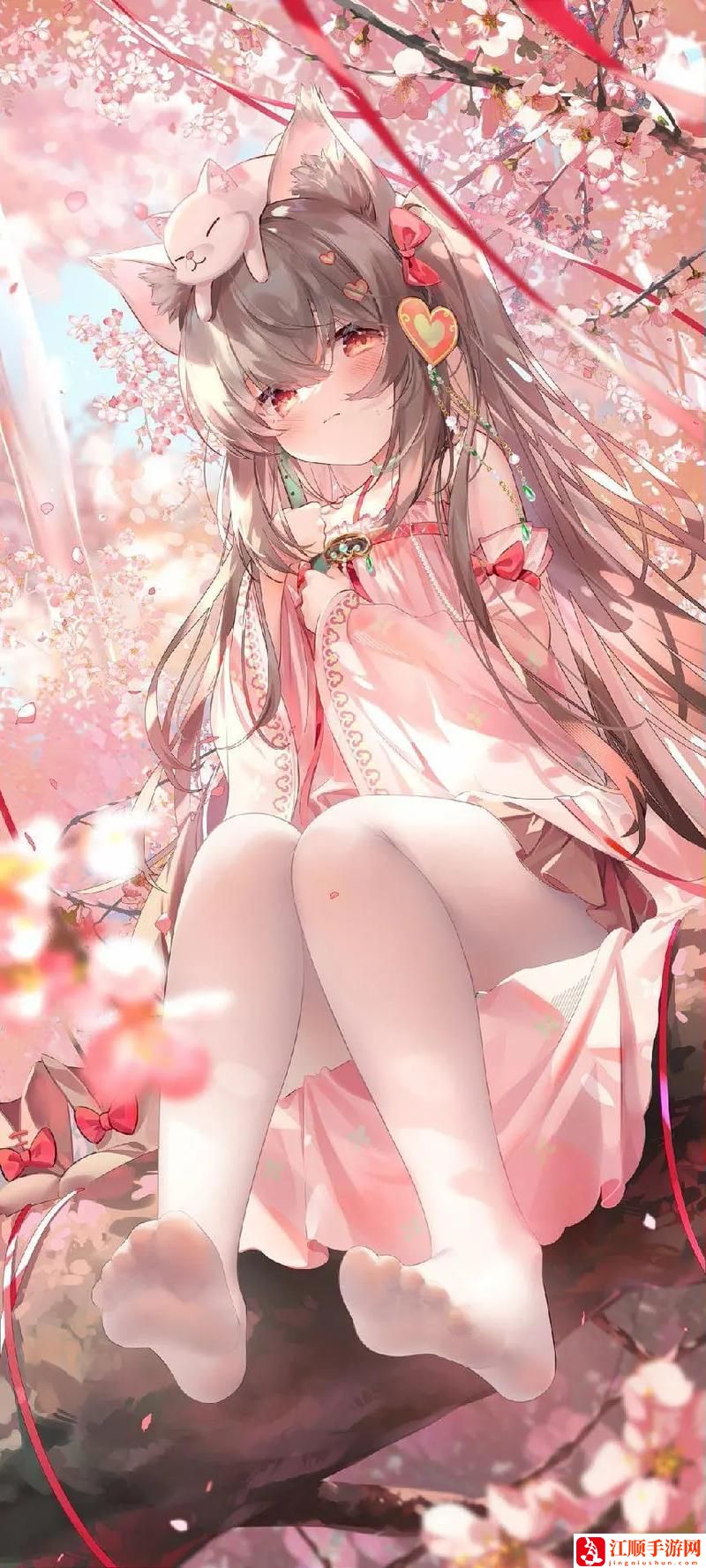 贵妃直播