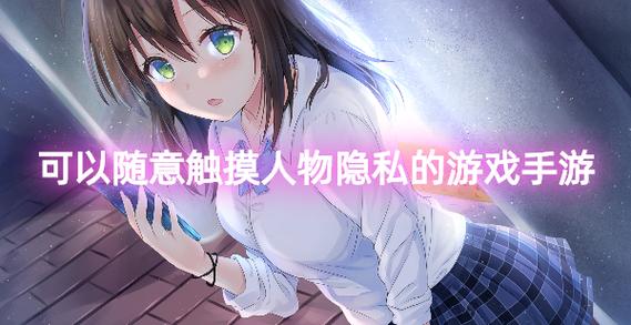 可以自由侵犯的游戏
