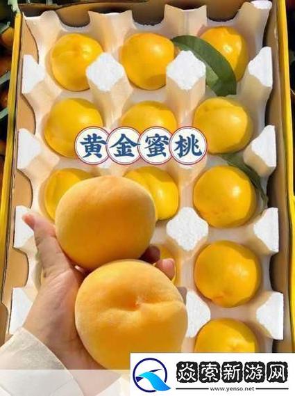 91精产国品一二三产区公司