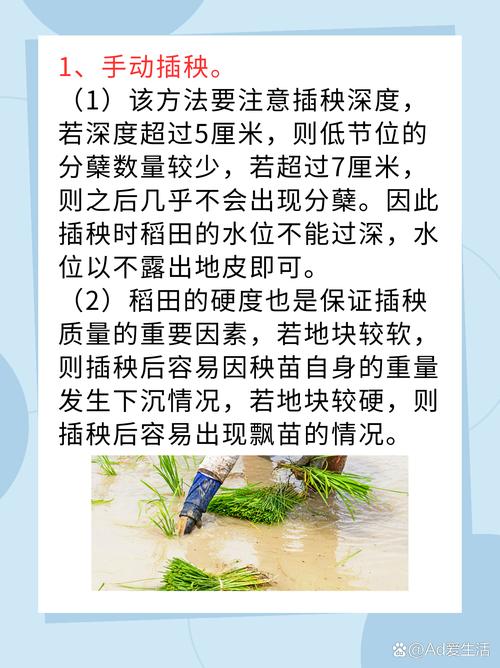 夫妻插秧38种方法图片大全